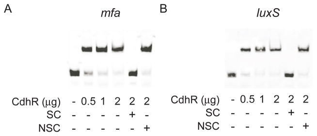 Fig. 5