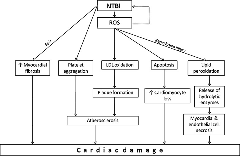 Fig. 1