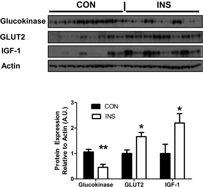 Figure 6.