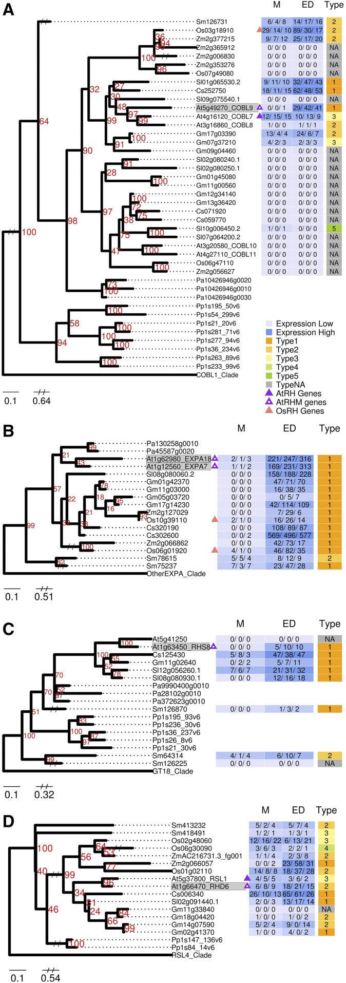 Figure 6.