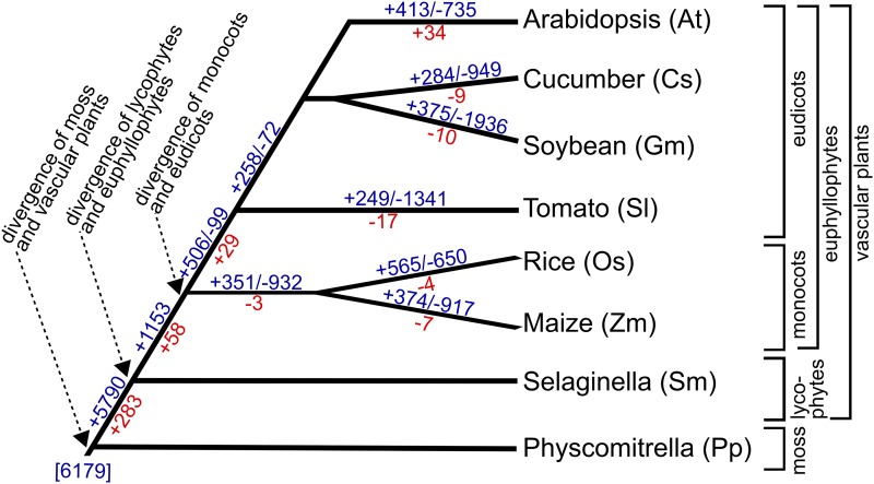 Figure 9.