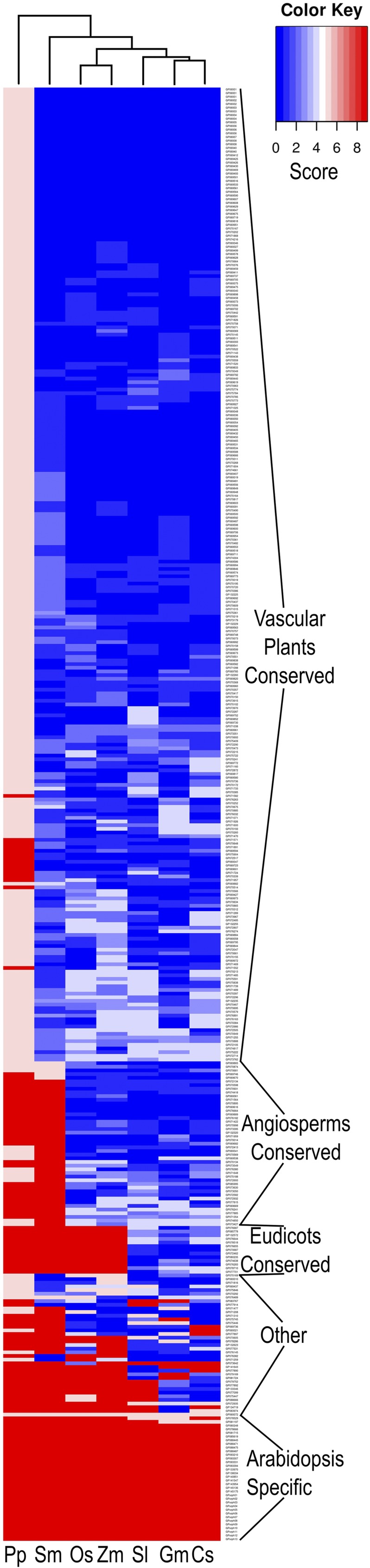 Figure 5.