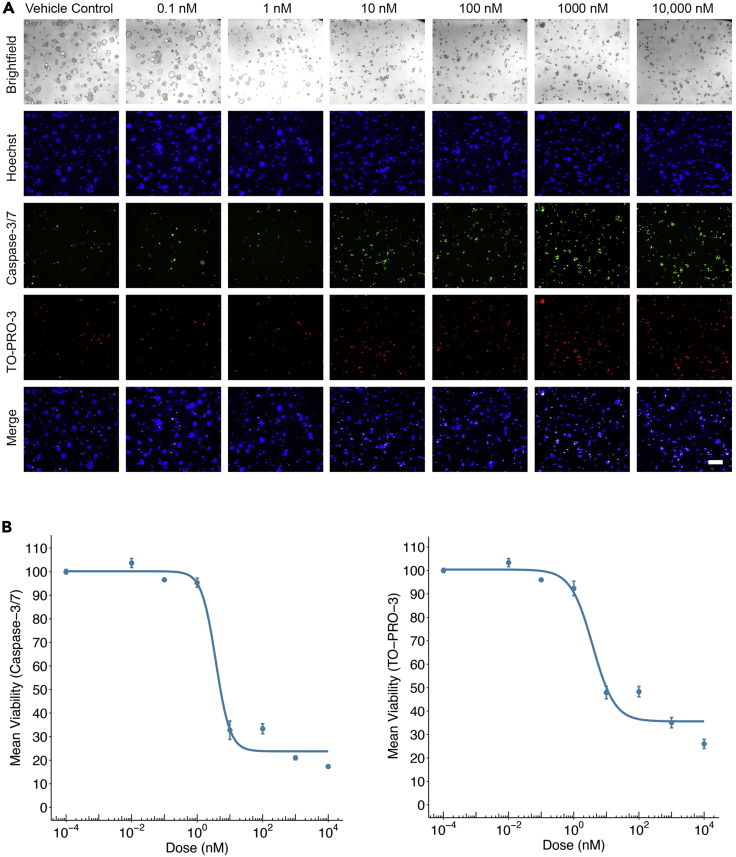 Figure 4