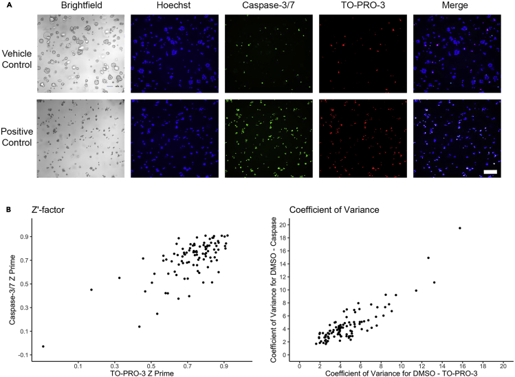 Figure 3