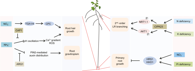 Fig. 3.