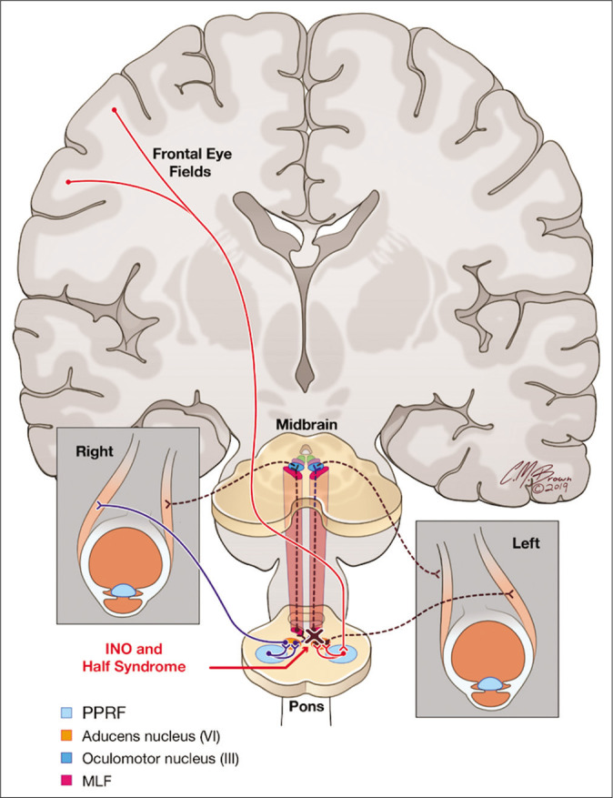 Figure 4: