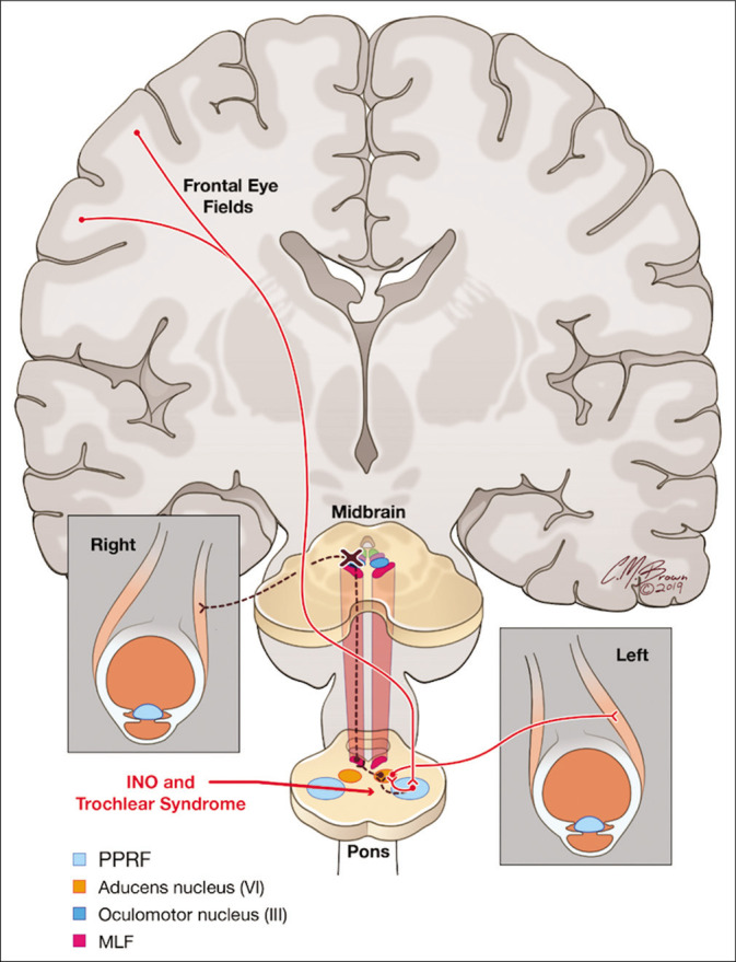 Figure 3: