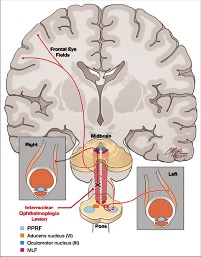 Figure 2: