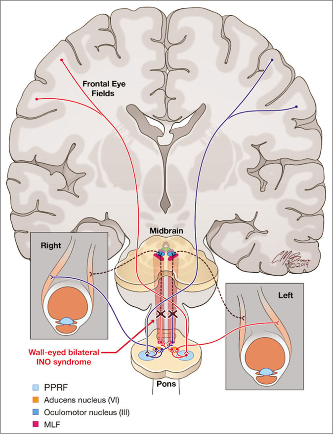 Figure 5: