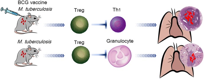 Figure 10.