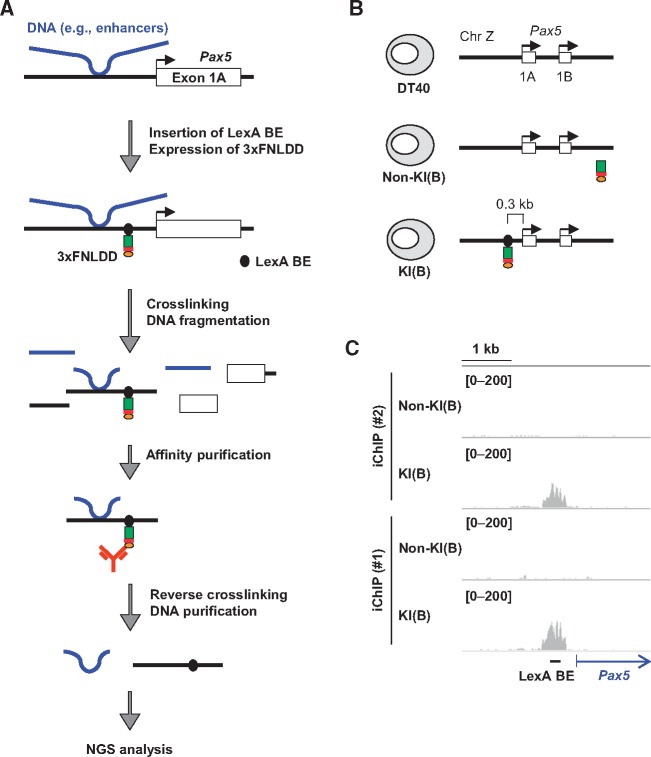 Figure 1.