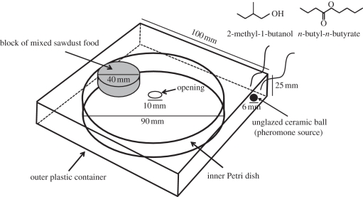 Figure 1.