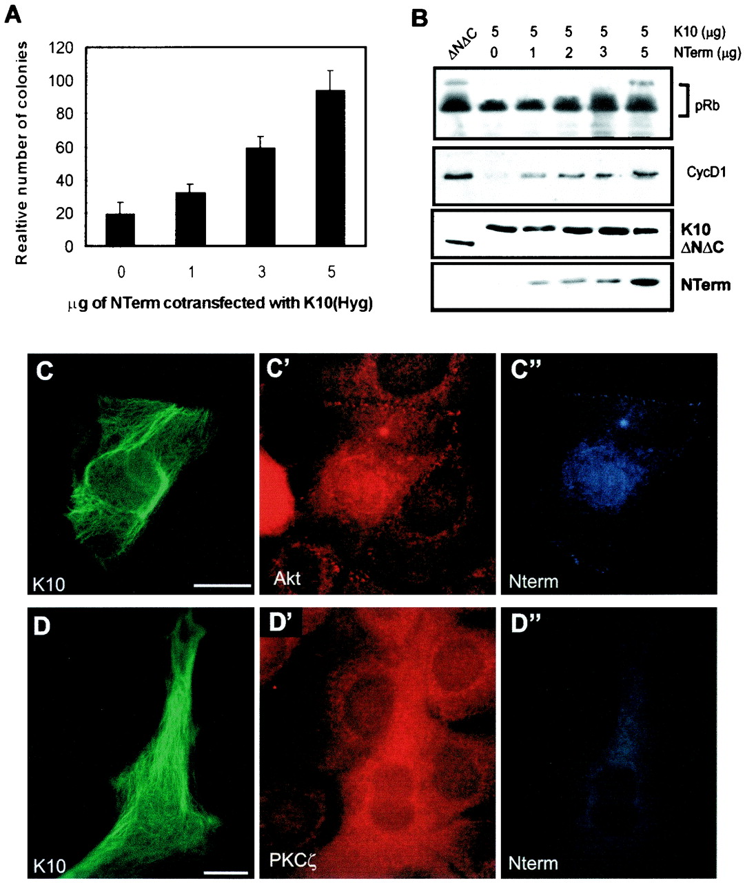 FIG. 7