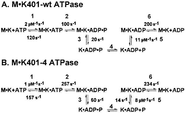 Scheme1