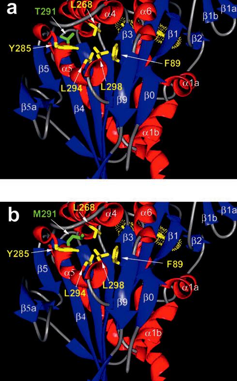 Fig. 9