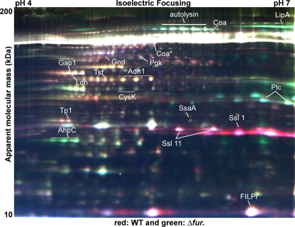 FIG. 3.