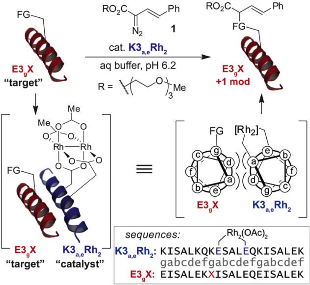 Figure 24