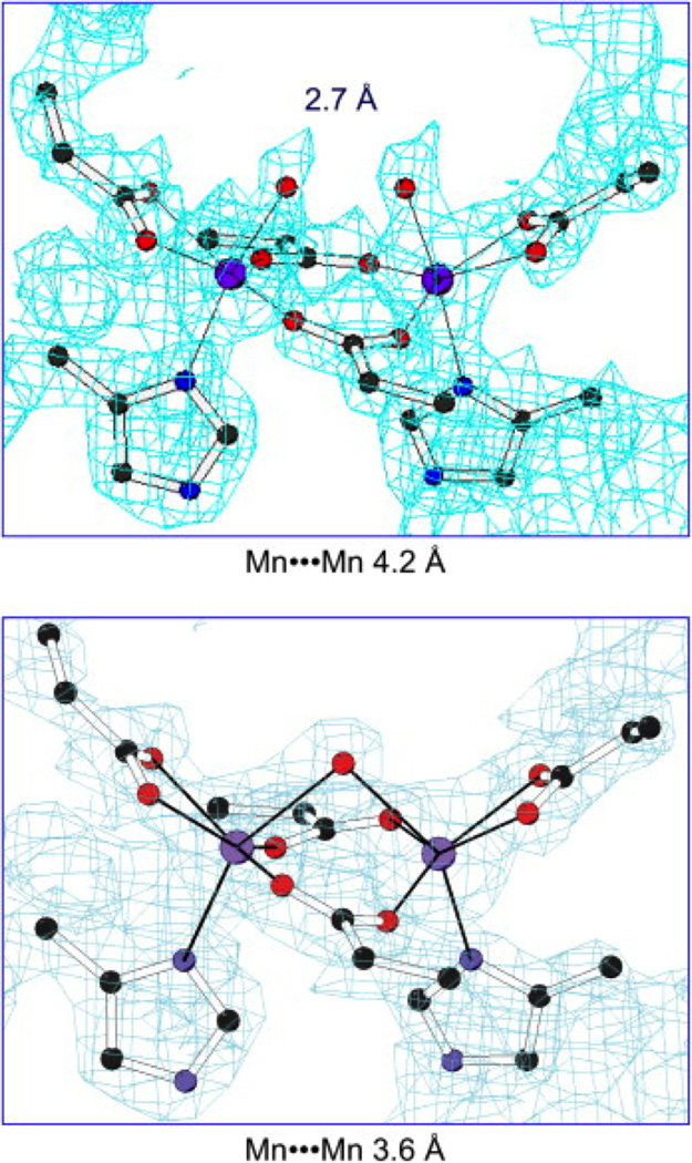 Figure 20