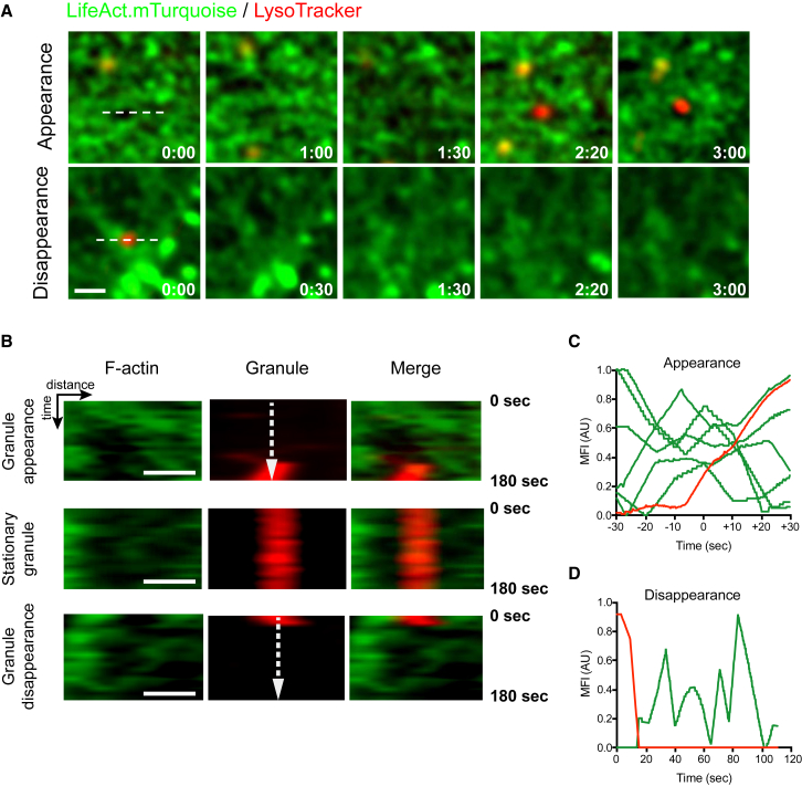 Figure 6