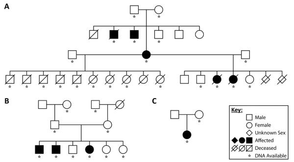 FIGURE 1