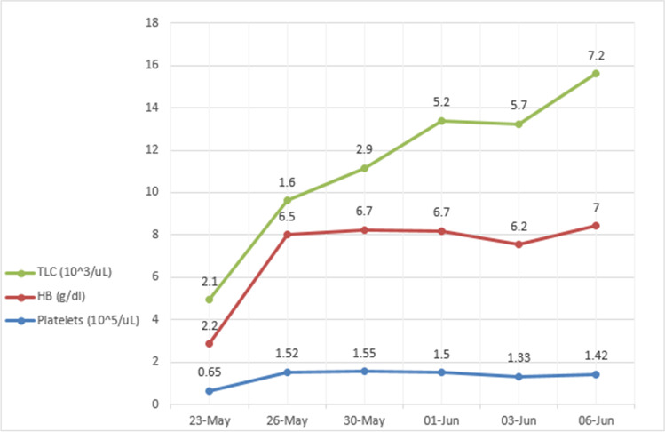 Fig. 4