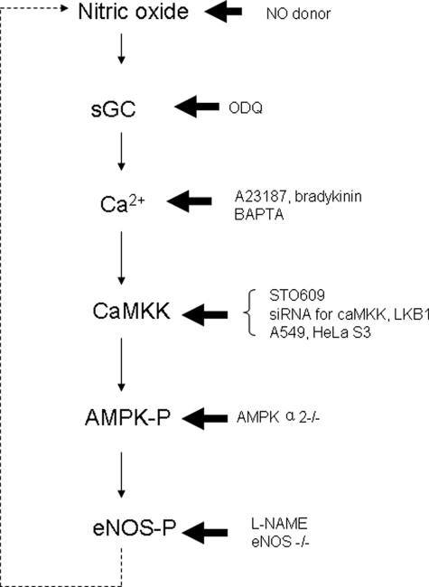 FIGURE 10.