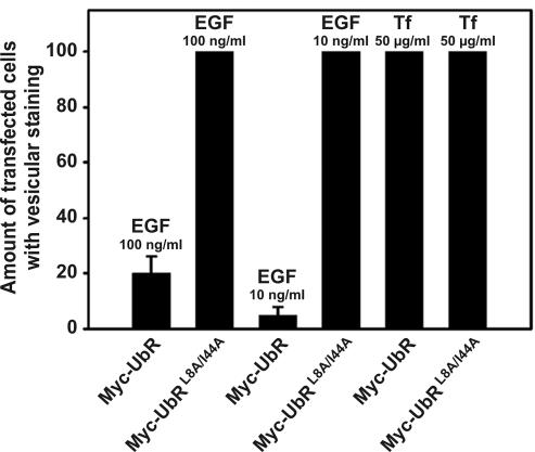 Figure 10.