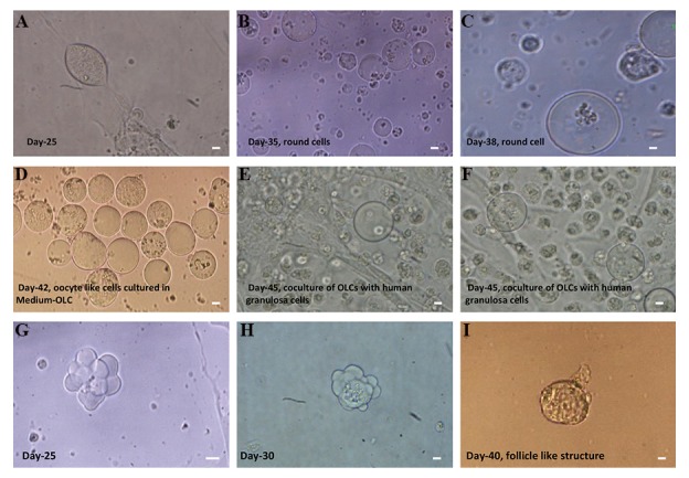 Fig.2