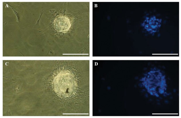 Fig.3