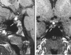 <sc>fig</sc> 1.