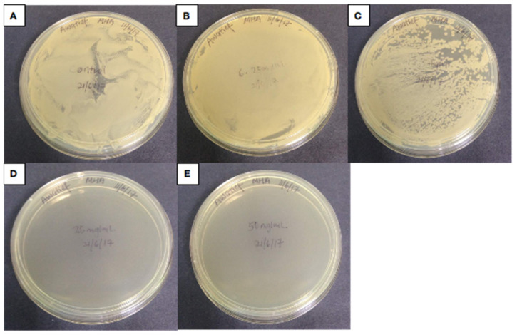 Figure 5