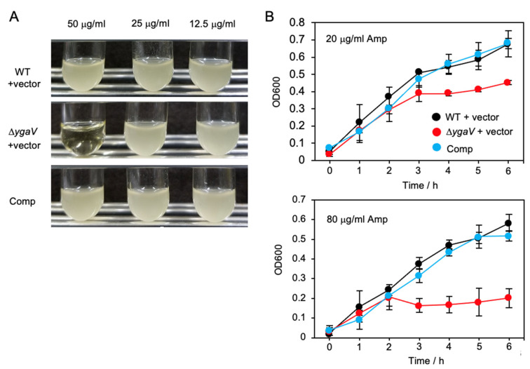 Figure 10