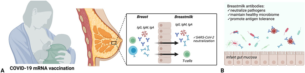 Figure 1: