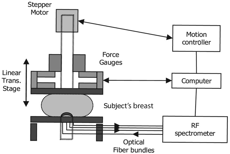 Fig. 1