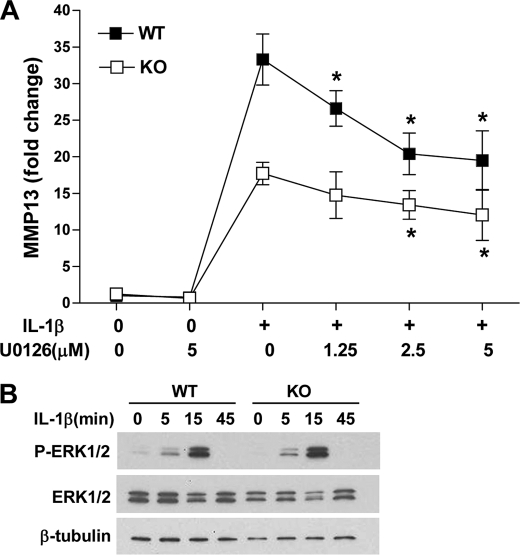 FIGURE 9.