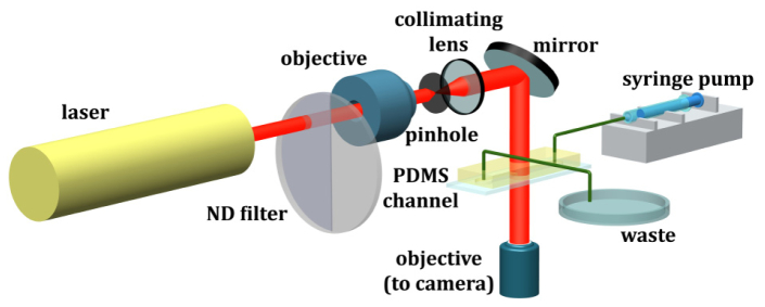 Fig. 1