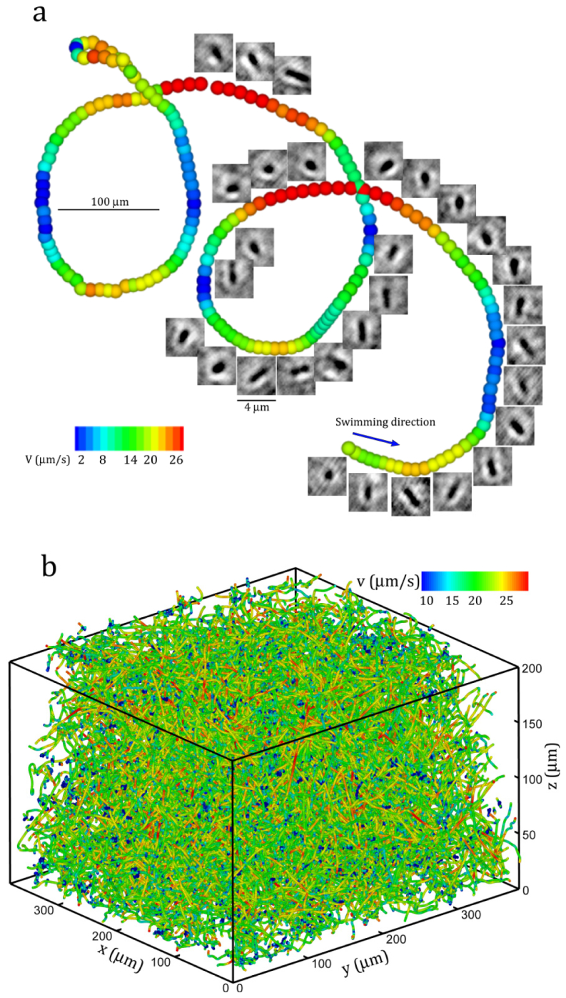 Fig. 7