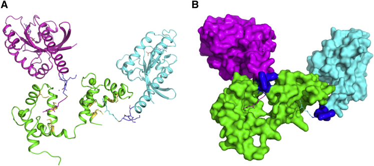 Figure 10