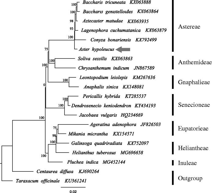 Figure 1.