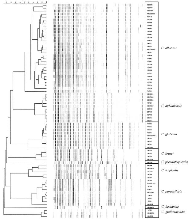 FIG. 1.