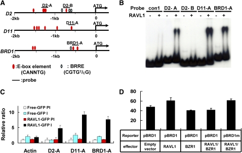 Figure 5.