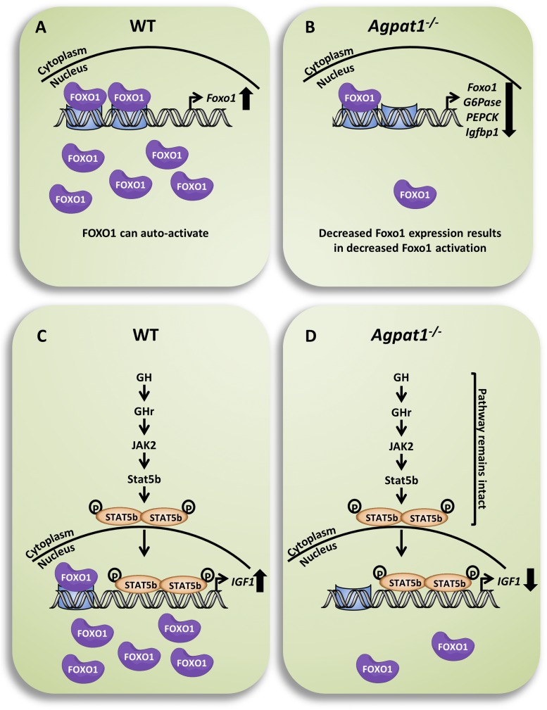 Figure 10.