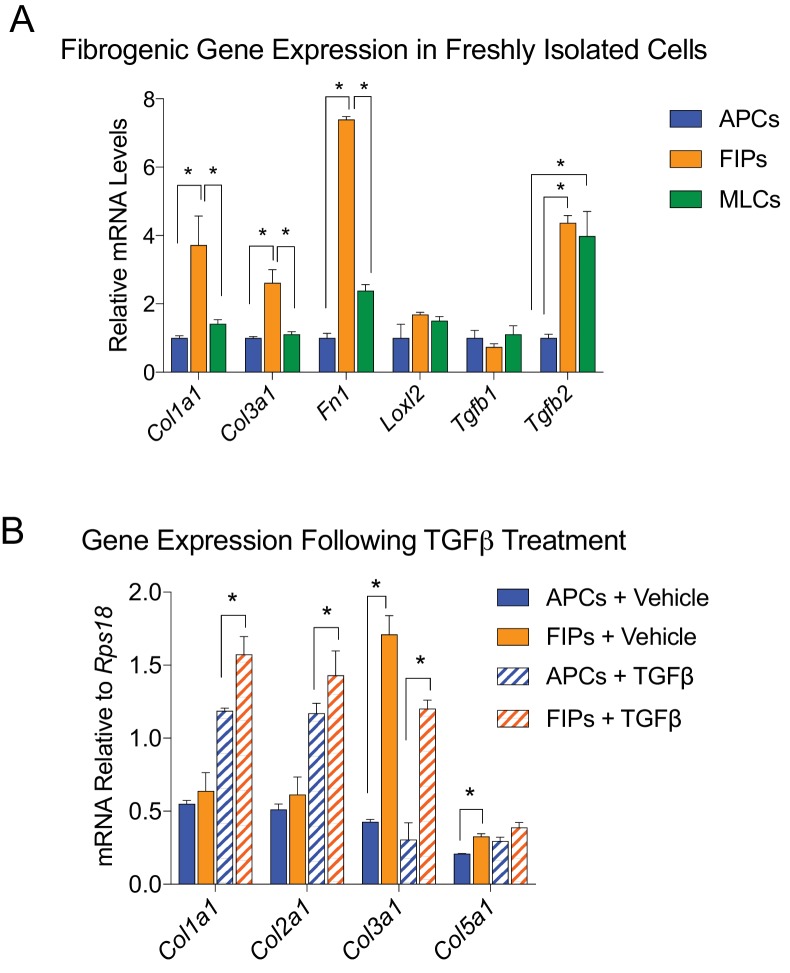 Figure 6—figure supplement 1.