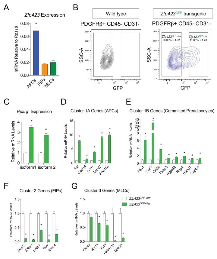 Figure 3—figure supplement 4.