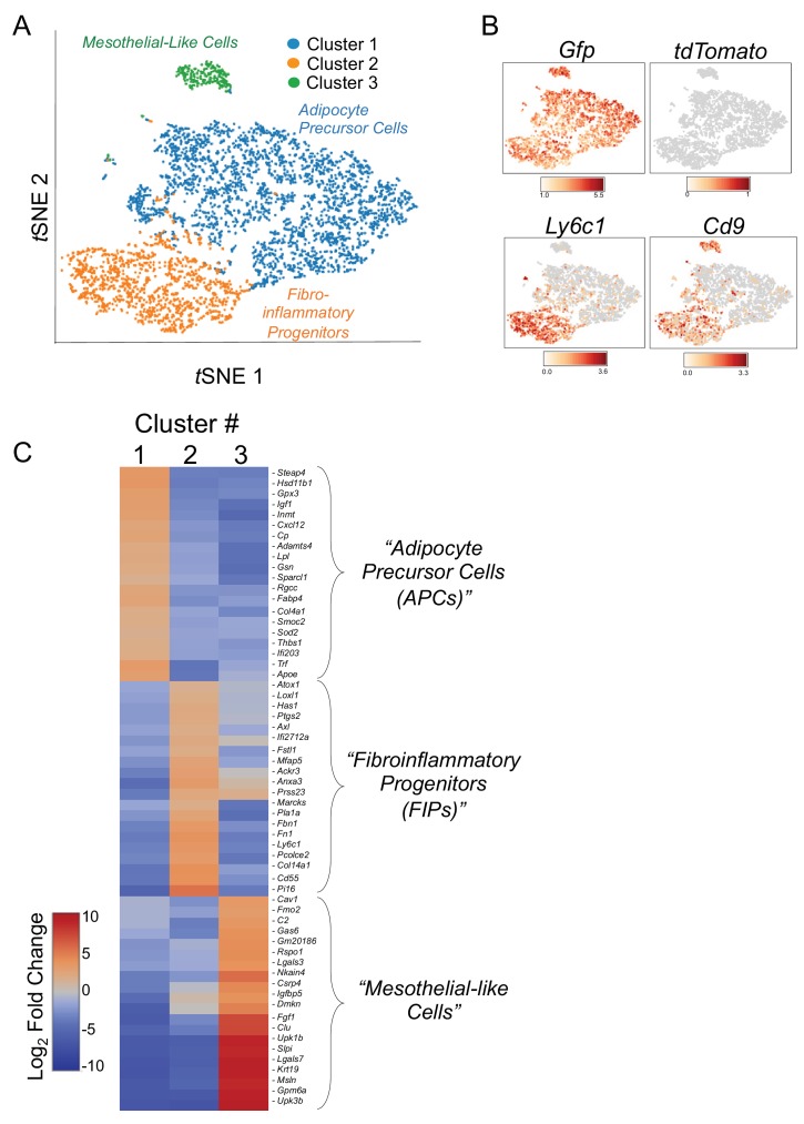 Figure 1—figure supplement 2.