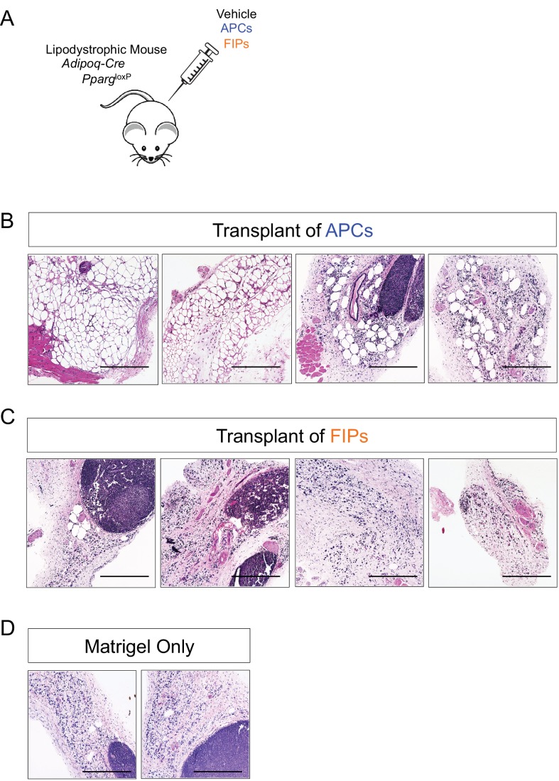 Figure 3—figure supplement 3.