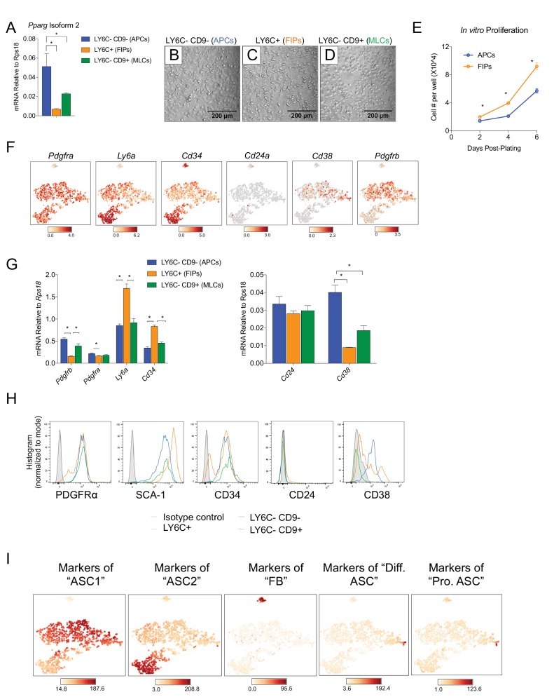 Figure 3—figure supplement 1.