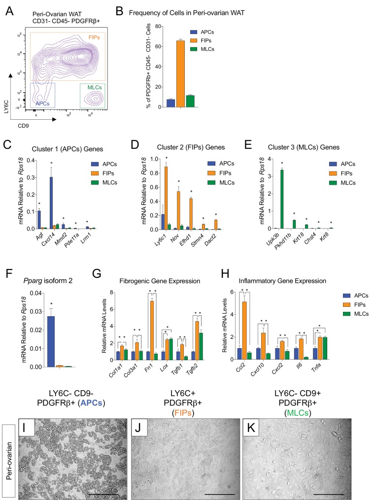 Figure 4—figure supplement 1.