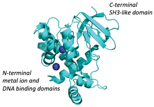 FIGURE 3