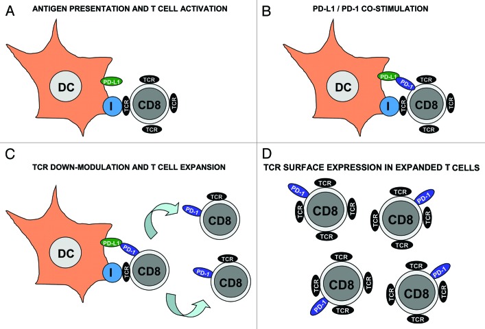 Figure 1.